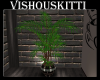 [VK] Small Cafe Plant