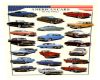 50's Cars Poster