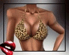 [U] Leopard Sexy Bikini