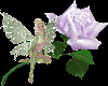 stikers flower fairy