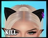 Kitty Ears Purple