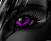 purple cat's fur eyes M