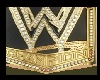 WWE Championship (2013)
