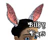 Bilby Ears