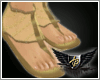 {5STR} Golden Sandals