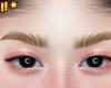 Real Eyebrows