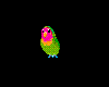 Tiny Parrot #2