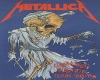 (SMR) Metallica Pic24