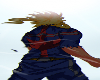 Cutout 480