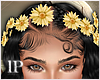 Summer Flowers Crown
