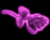 Purple Animated Rose Lam