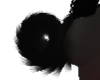 Necro | Tail