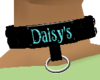 -F- Krazy 4 Daisy