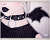 ◮ Bat Collar