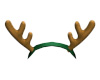 Reindeer Horn II
