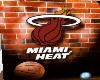 Miami Heat2