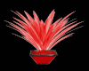 Dope Red Plant