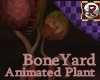 BoneYard Animated Plant