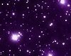 Purple Star Throne