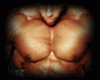 MUSCLE/ Biceps