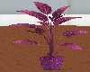 LL-Plant rose silk