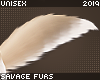 . Fennec | tail