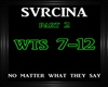 Svrcina~No Matter What 2