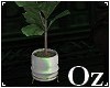 [Oz] - Plant Modern