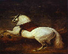 Velazquez-White horse