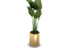 Minimalistic Plant