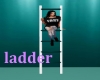 motley m ladder