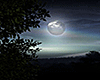 Rainy Moonlit Nights