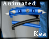 K!t- Kea Animated Garter