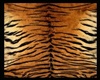 African Tiger Rug