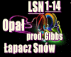 Opal-Lapacz snow