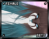 [PETS] Ezi | hair v2