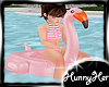 Flamingo Float 40%