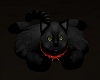 ~HD~black cat rug