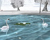 Wedding Swans Animated