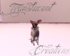 (T)Chihuahua Pup Pink
