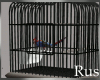 Rus Parrot Cage