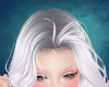 A/ Frost White Hair