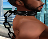 Black Collar w Chain