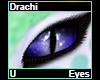 Drachi Eyes