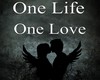 One life One love