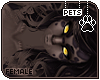 [Pets] Apollo | hair v6