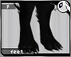 ~Dc) Black Wolf Feet F