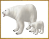 Polar bear & cub