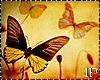 Butterflies Flaying Anim