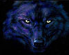 :LKN: Blue Wolf